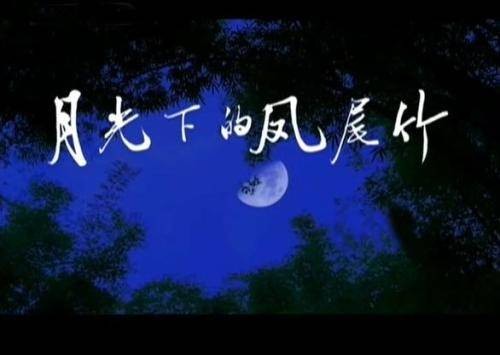 月光下的凤尾竹