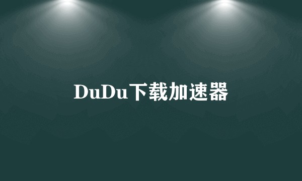 DuDu下载加速器