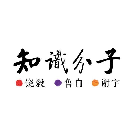 知识分子（移动新媒体平台）