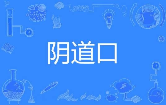 阴道口