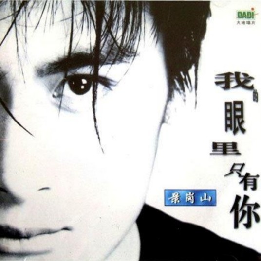 我的眼里只有你(1995年景岗山演唱的歌曲)