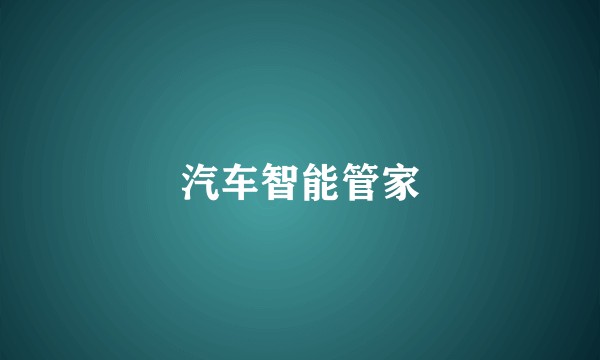 汽车智能管家