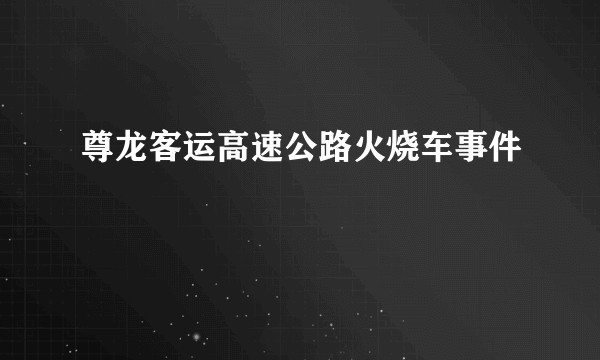 尊龙客运高速公路火烧车事件