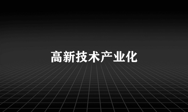 高新技术产业化