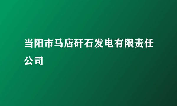 当阳市马店矸石发电有限责任公司