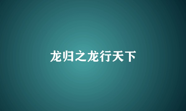 龙归之龙行天下