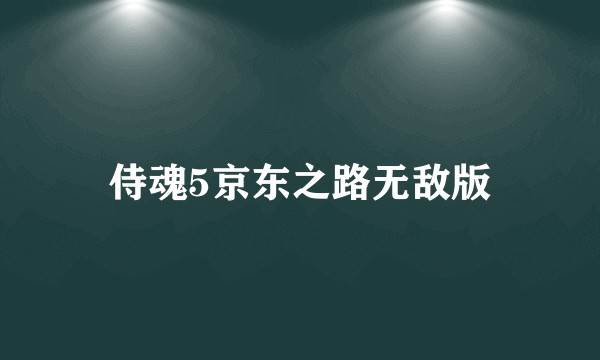 侍魂5京东之路无敌版