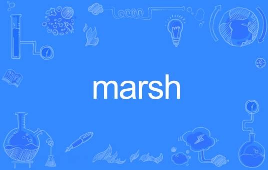 Marsh
