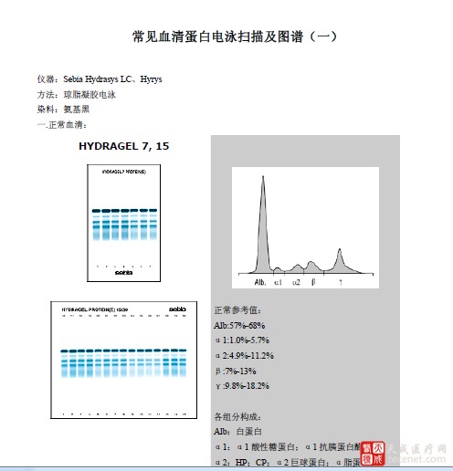 血清蛋白电泳