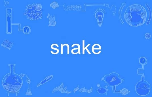 snake(英文单词)