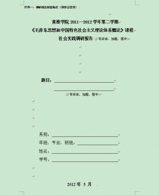 社会调查报告