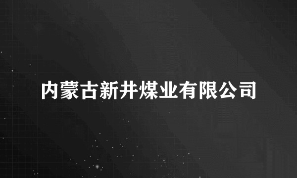 内蒙古新井煤业有限公司