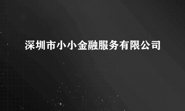 深圳市小小金融服务有限公司