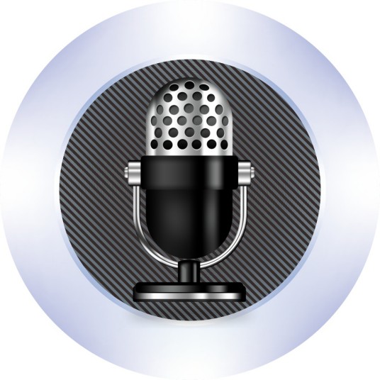 Audio（数字声音格式）