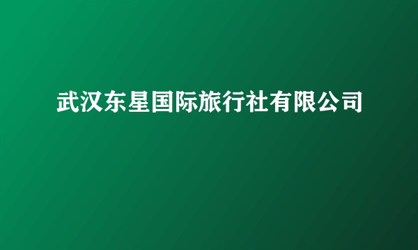 武汉东星国际旅行社有限公司