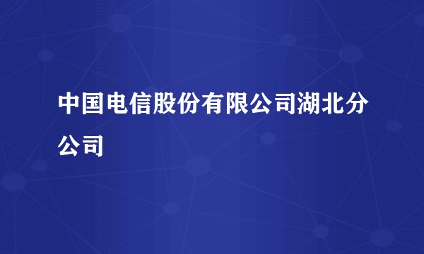 中国电信股份有限公司湖北分公司