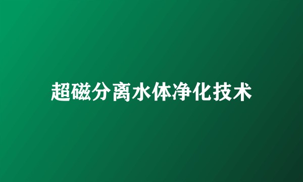 超磁分离水体净化技术