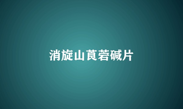 消旋山莨菪碱片