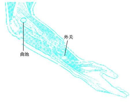 曲池(人体腧穴)