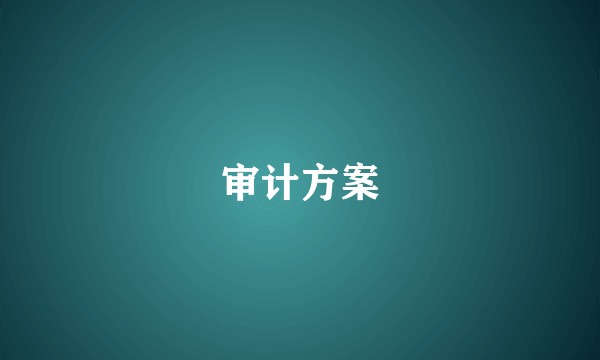 审计方案