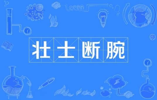 壮士断腕（网络流行词）