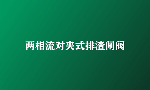 两相流对夹式排渣闸阀