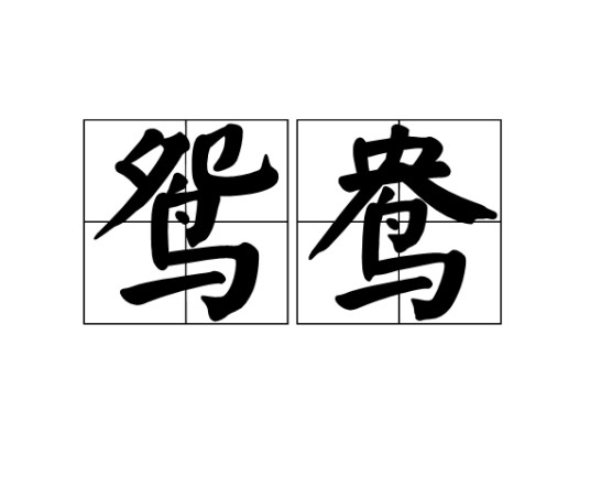鸳鸯(汉语词语)