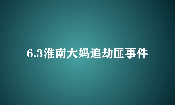 6.3淮南大妈追劫匪事件