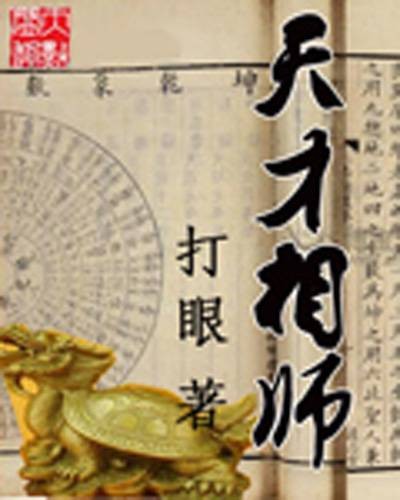 天才相师（打眼创作的都市类网络小说）
