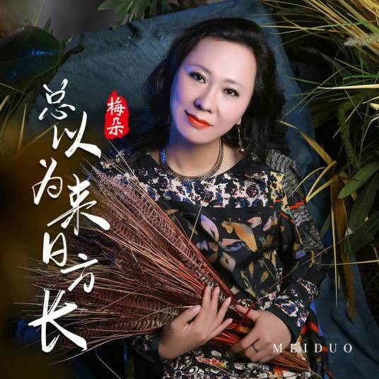 总以为来日方长(梅朵演唱歌曲)