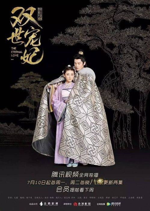 双世宠妃（2017年梁洁、邢昭林主演的古装穿越爱情剧）