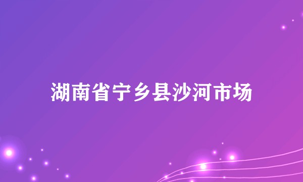 湖南省宁乡县沙河市场