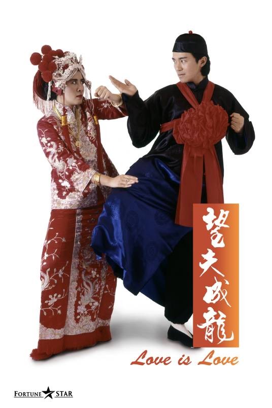 望夫成龙(中国香港1990年梁家树执导的电影)