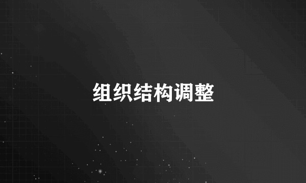 组织结构调整