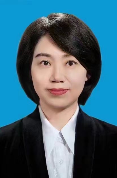 陈平（湖北省政府副省长、党组成员）