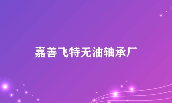 嘉善飞特无油轴承厂