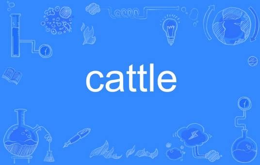 cattle
