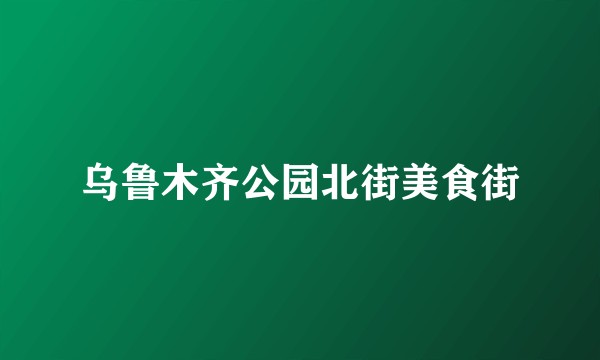 乌鲁木齐公园北街美食街