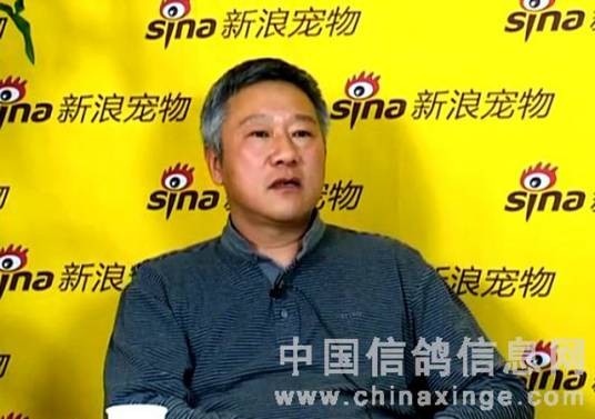 郑毅洁