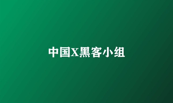 中国X黑客小组