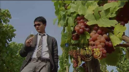寻味葡萄