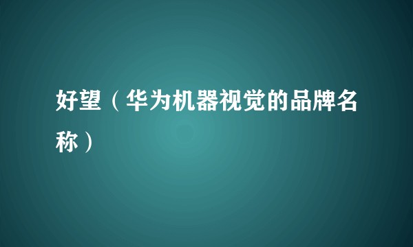 好望（华为机器视觉的品牌名称）