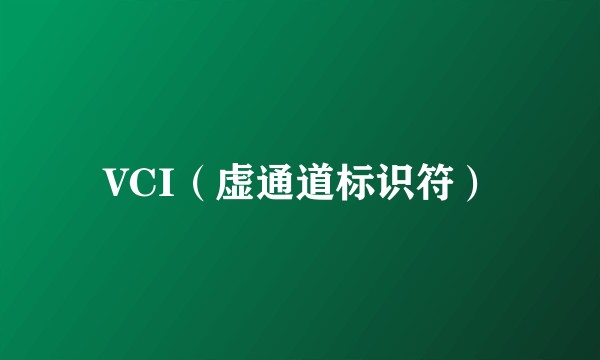 VCI（虚通道标识符）