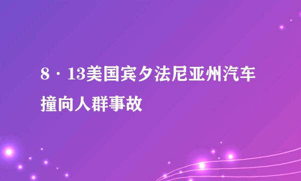8·13美国宾夕法尼亚州汽车撞向人群事故