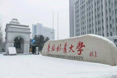 东北林业大学研究生院