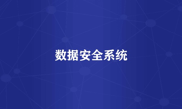 数据安全系统