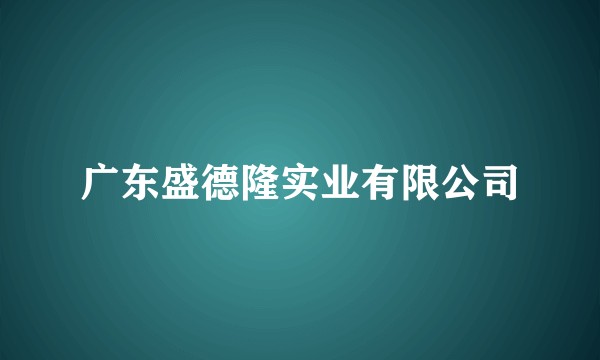 广东盛德隆实业有限公司