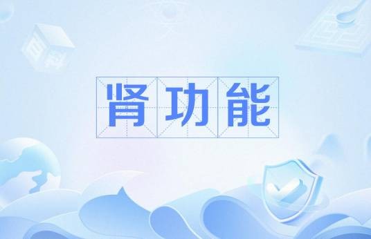 肾功能