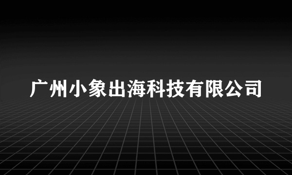 广州小象出海科技有限公司