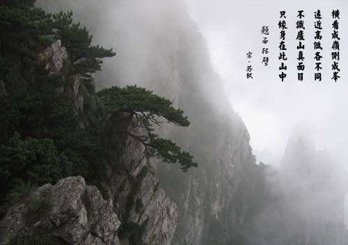不识庐山真面目（成语）